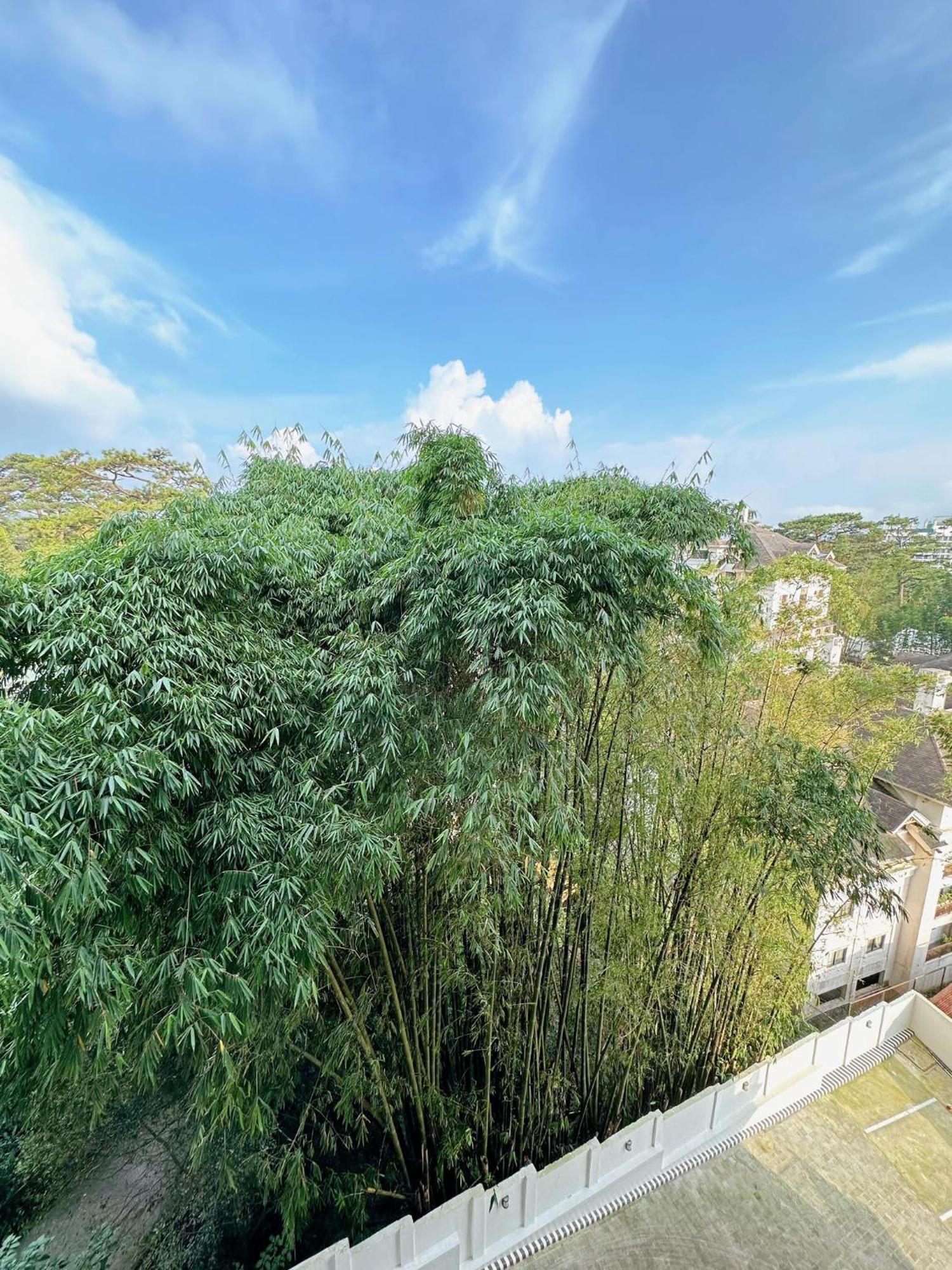 Luxury Suites At Brenthill Baguio City Ngoại thất bức ảnh
